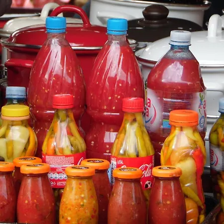 Vracar Διαμέρισμα Βελιγράδι