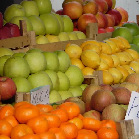 Vracar Βελιγράδι