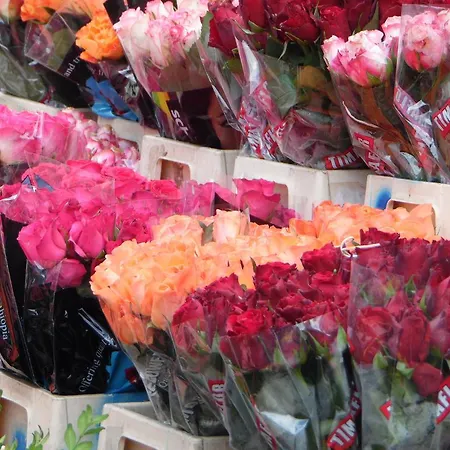 Vracar Apartament Belgrad