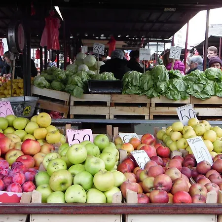 Vracar Apartament Belgrad