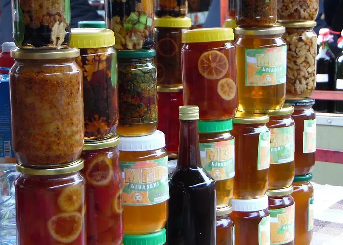 Apartamento Vracar Belgrado